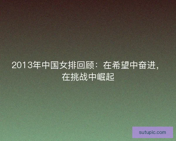 2013年中国女排回顾：在希望中奋进，在挑战中崛起
