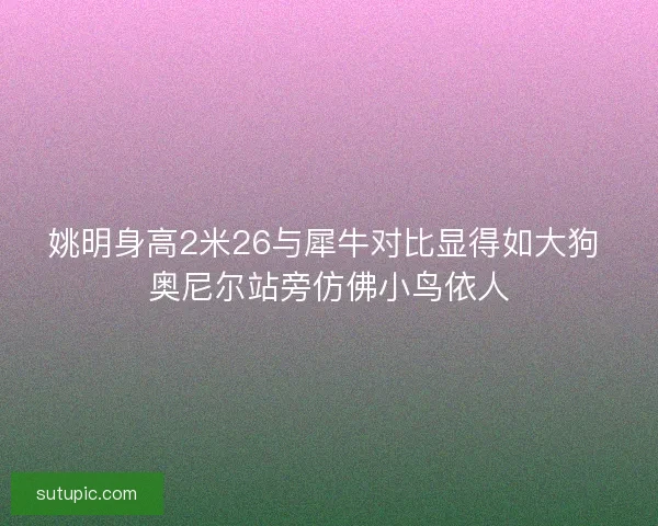 姚明身高2米26与犀牛对比显得如大狗 奥尼尔站旁仿佛小鸟依人 姚明身高2米26与犀牛对比显得如大狗 奥尼尔站旁仿佛小鸟依人